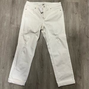 NWT Loft Modern Cuffed Crop